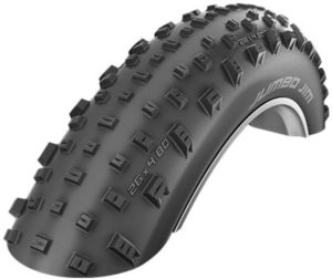 SCHWALBE Jumbo Jim Evolution Tires