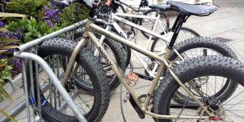 best budget fat tire bike