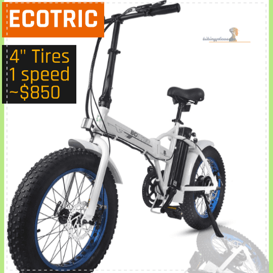 ECOTRIC Fat Tire Electric Bike