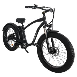 Fat Electric Bike Beach Cruiser