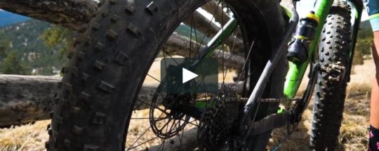 9 Best Fat Bike Tires: Reviews & Considerations