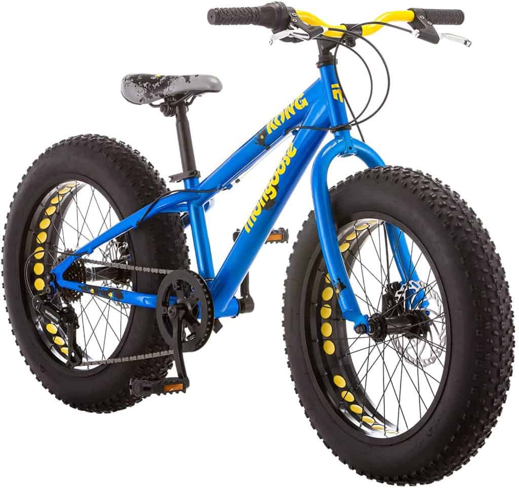 wahoo vs garmin bike computer