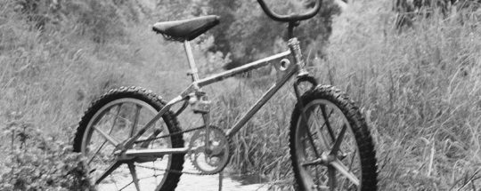 Best Mongoose Fat Tire Bike Models