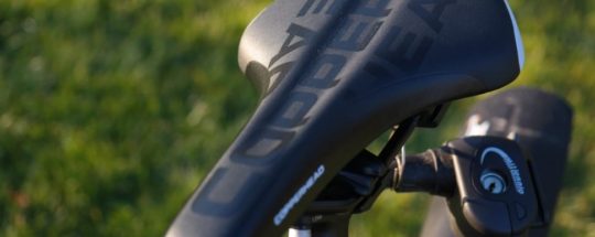 Saddle Sores: All You Need To Know [Causes and Solutions]