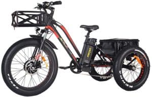 Addmotor Motan Electric Tricycles