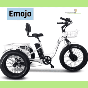 Emojo Electric Fat Tire Tricycle