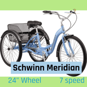 Schwinn Meridian Adult Trike