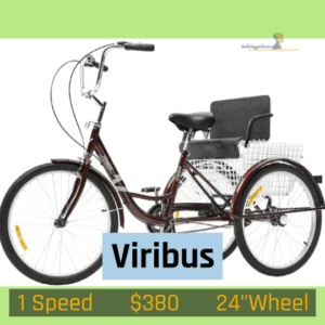 Viribus 24in. Adult Hybrid Tricycle
