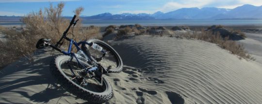 Bikes for sand: All you need to know + Best Options