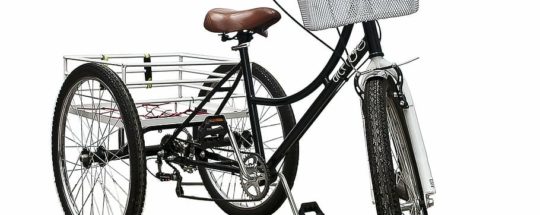 Adult Tricycles For Seniors: Best options + Buyer’s Guide