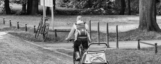 Best Jogging Stroller And Bike Trailer, 2 In 1