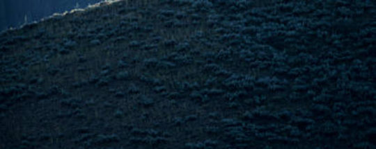 Best Mountain Bikes Under $500